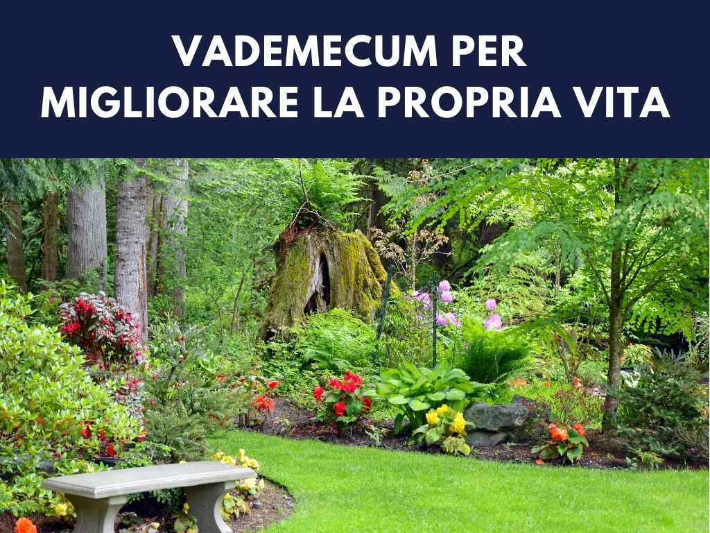 SEGUI QUESTE REGOLE E LA TUA VITA PUO’ SOLO MIGLIORARE
